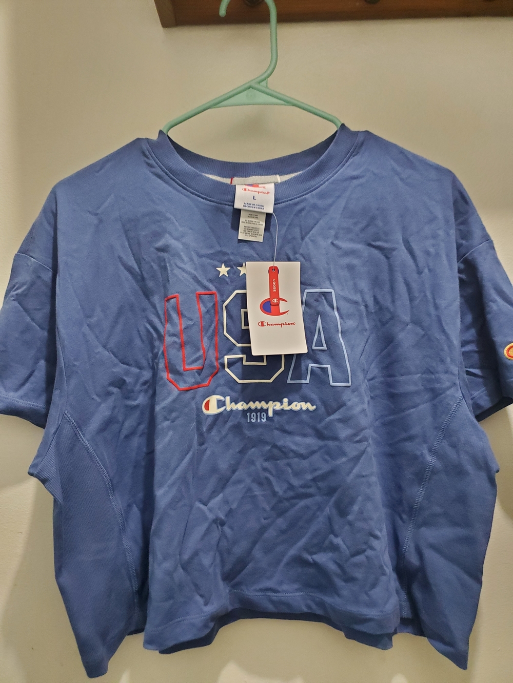 Champion  Blue USA Graphic Tee